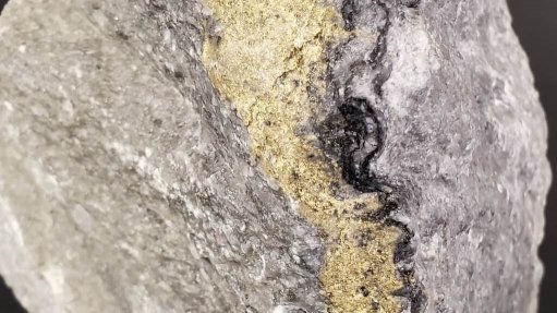 Gold mineralisation in an ore sample from the Windfall project