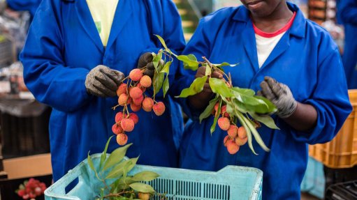 How outsourced refrigeration can solve Africa’s cold chain challenges