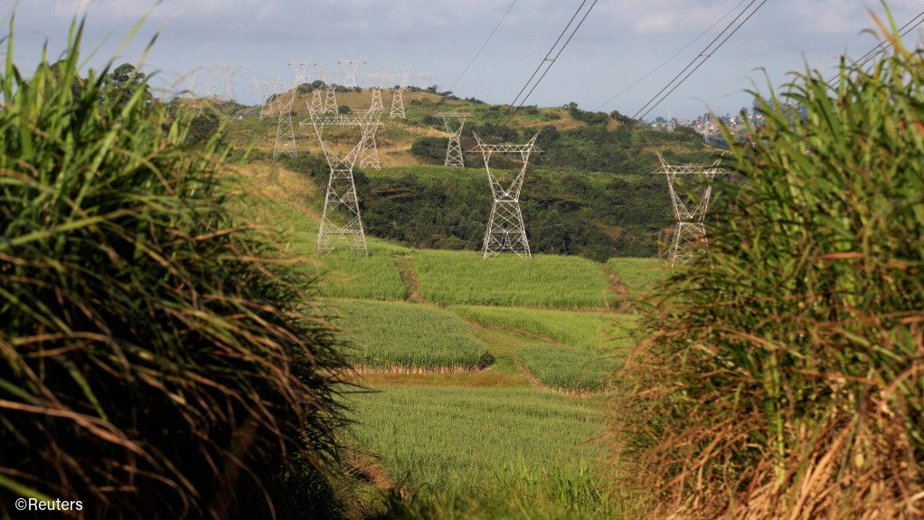 Powerlines in sugarcane fields in South Africa