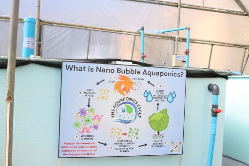 TIA launches nanobubble aquaponics pilot plant