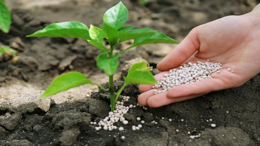 Image of fertiliser in hand