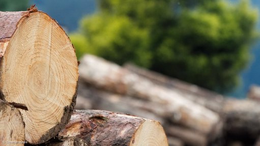 Timber from York Timbers Sabie mill 