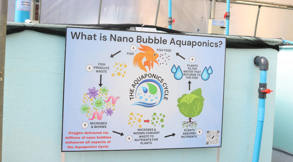 NANO BUBBLE AQUAPONICS CYCLE
Graphic depicting the nanobubble aquaponics cycle
