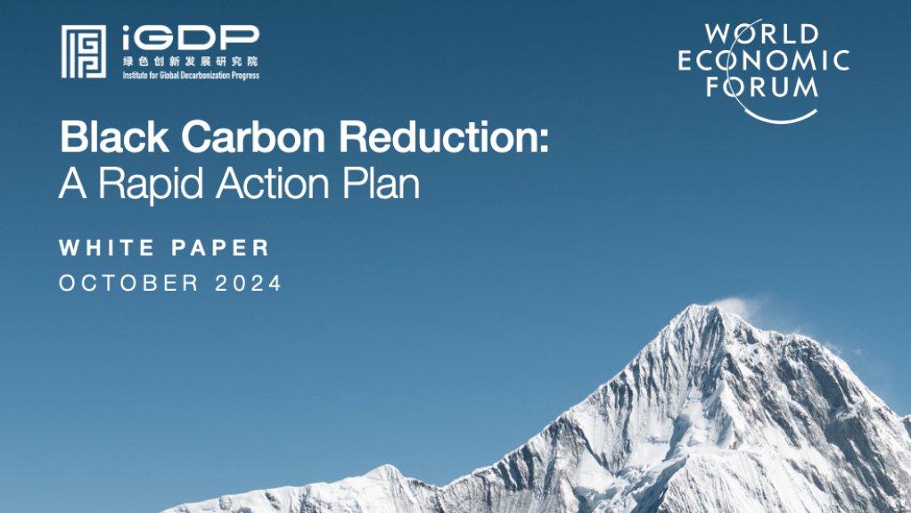  Black Carbon Reduction: A Rapid Action Plan  