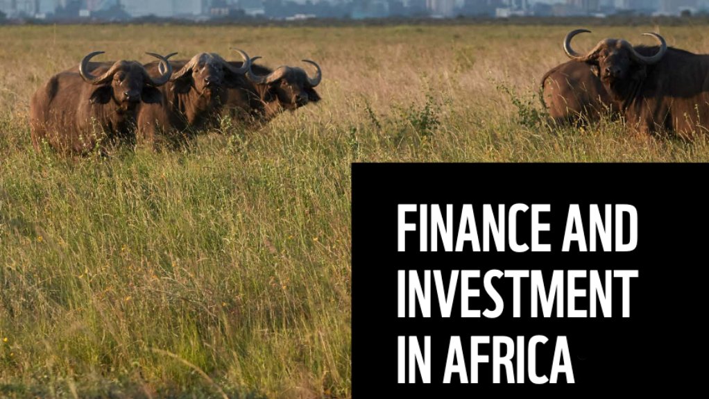 Finance and Investment in Africa: Trends and Opportunities for Securing Africa’s Ecological Futures