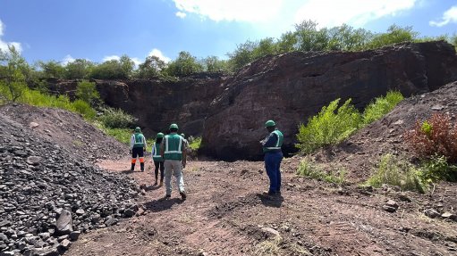 Commissioning of demo plant for Botswana  battery-grade manganese project under way