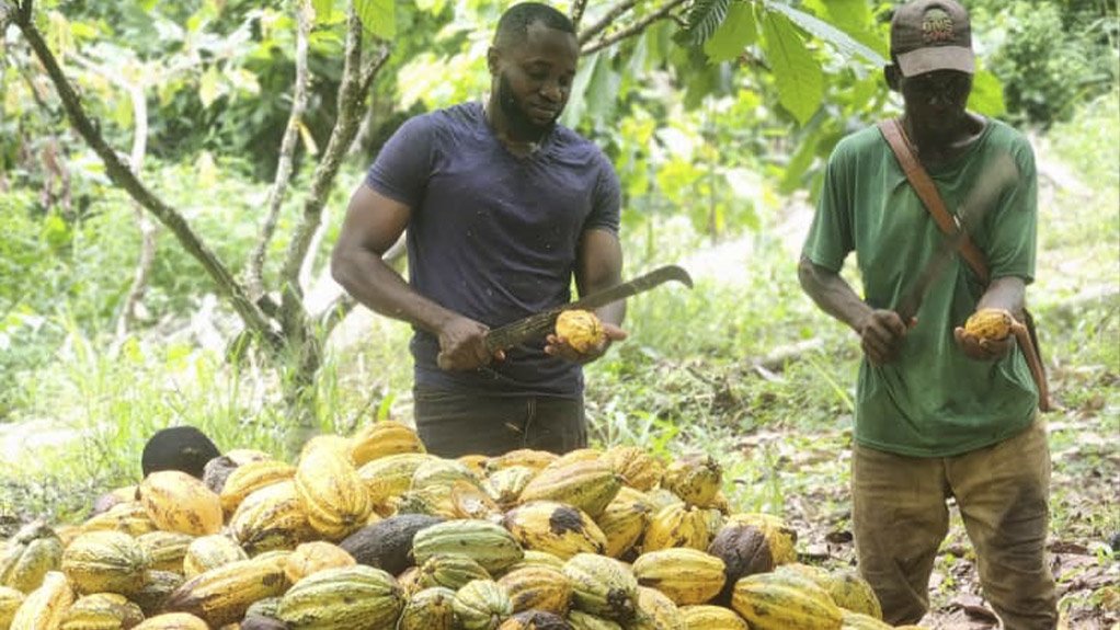 The Integral Role of Innovative Financing Solutions for Farmers in the Global South: Lessons from Cocoa Irrigation in Ghana  