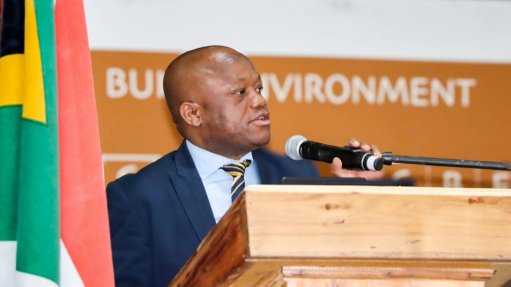 Public Works and Infrastructure Deputy Minister Sihle Zikalala 