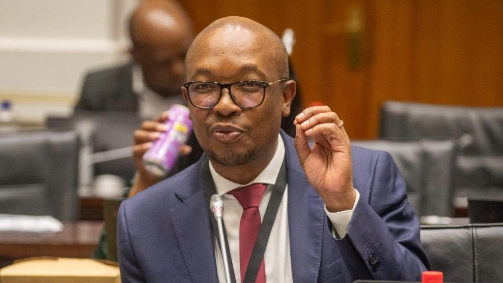 Trade, Industry and Competition Minister Parks Tau