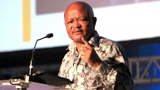 Police Minister Senzo Mchunu