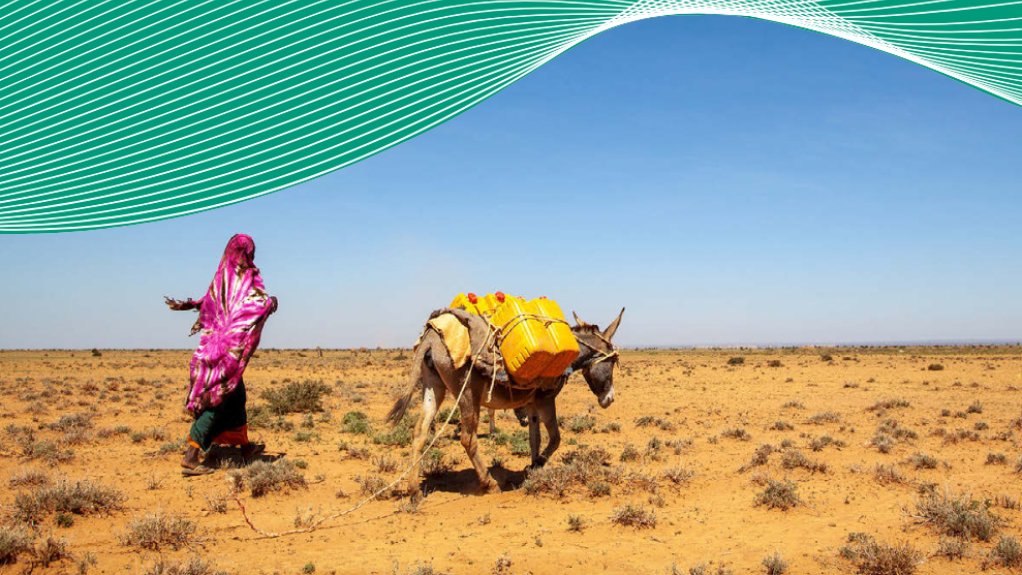 Report Assessing and financing loss and damage due to climate change in Somalia 