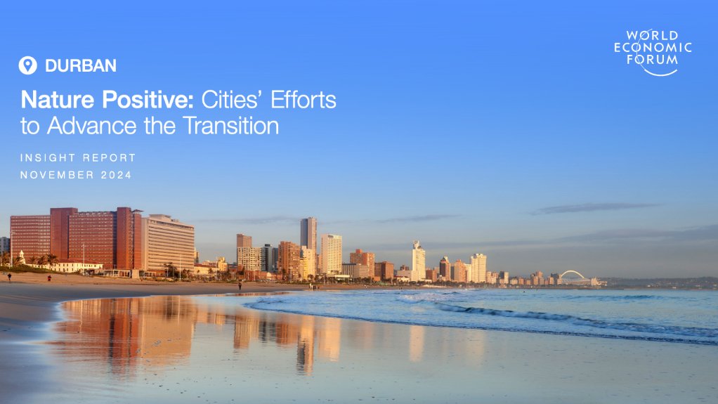  Nature Positive: Cities’ Efforts to Advance the Transition – Durban  