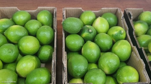 Limes