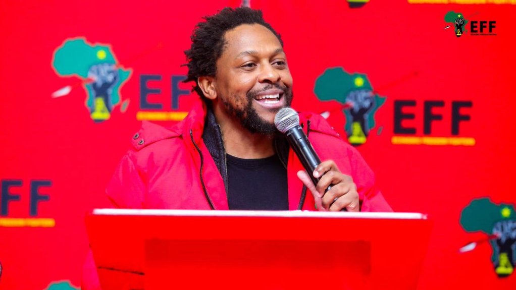 Image of Mbuyiseni Ndlozi