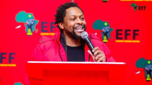 Ndlozi resigns as EFF MP