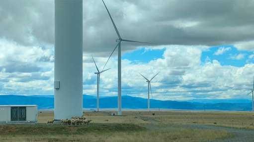 A Seriti Green wind farm