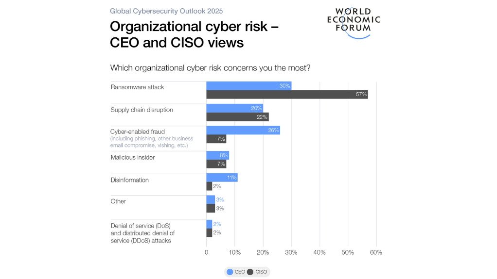 Cybersecurity risks cited by CISOs and CEOs