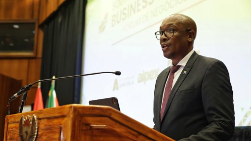 Minister of Trade, Industry and Competition Parks Tau