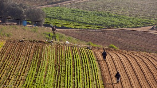 Farm fields