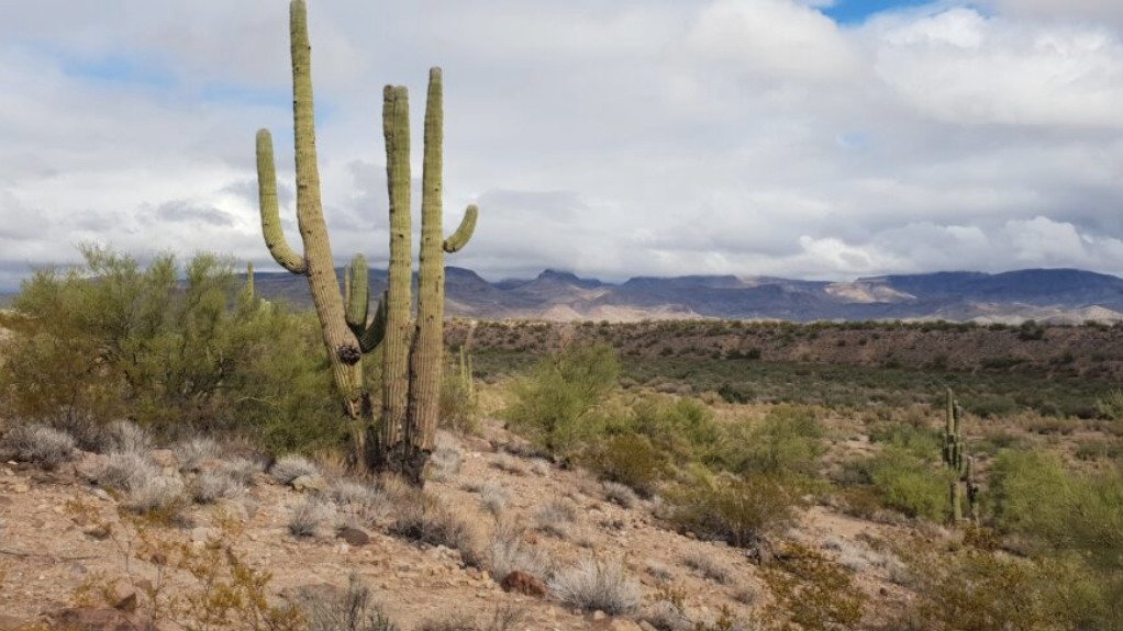 Arizona Lithium rescinds Sandy Valley exploration plan, working to refine Big Sandy development