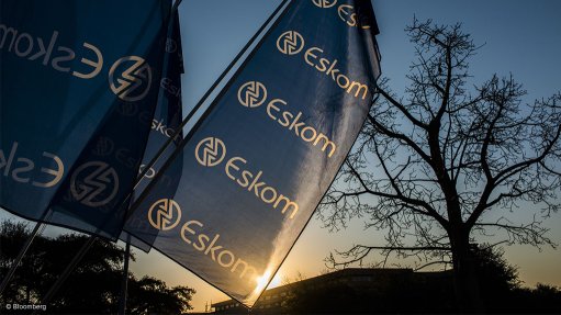 Flags with the Eskom logo