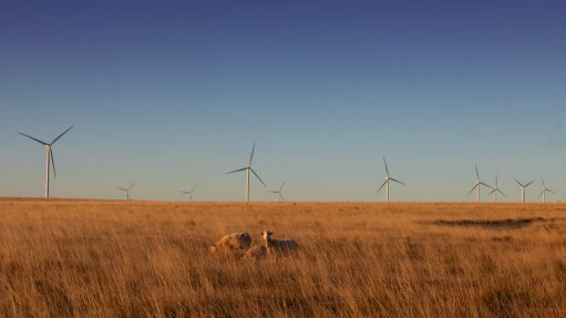 An image depicting the wind farm