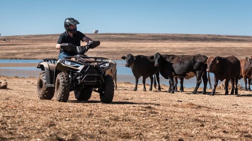 Image of the Linhai Promax 300 quad bike on a farm with cows in background