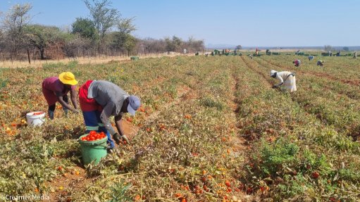 RECORD HIGH
Agricultural exports have reached a record high of $13.7-billion