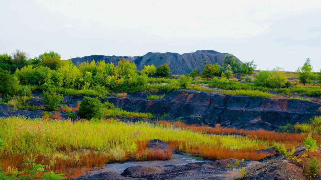 A generic image of a piece of land near a coal mine