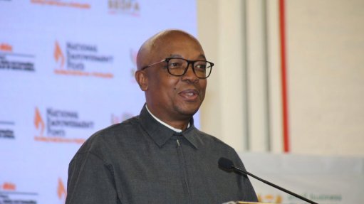 Trade, Industry and Competition Minister Parks Tau