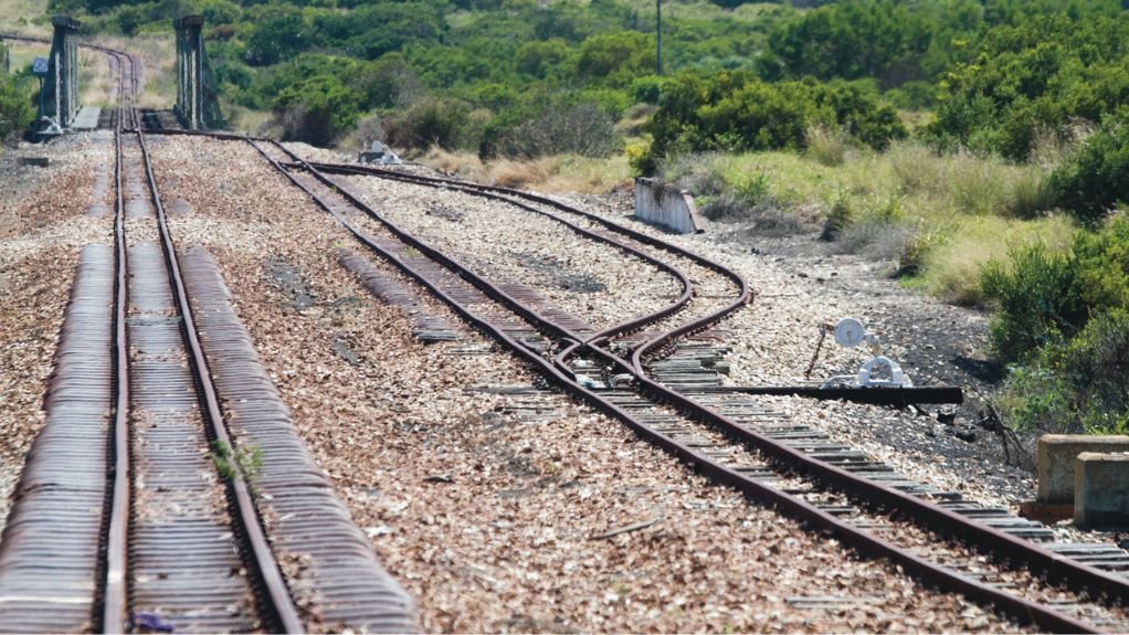 Train tracks running through dense bushes.