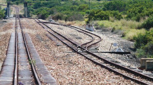 Train tracks running through dense bushes. 