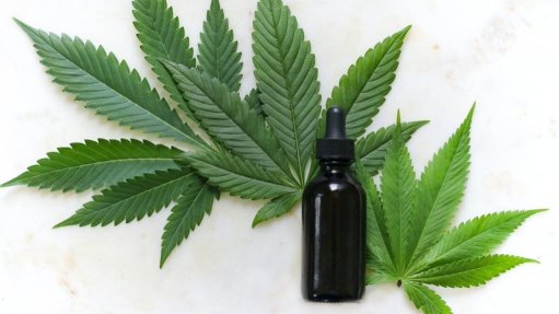 Cannabis leaved with a bottle of oil and a dropper lid