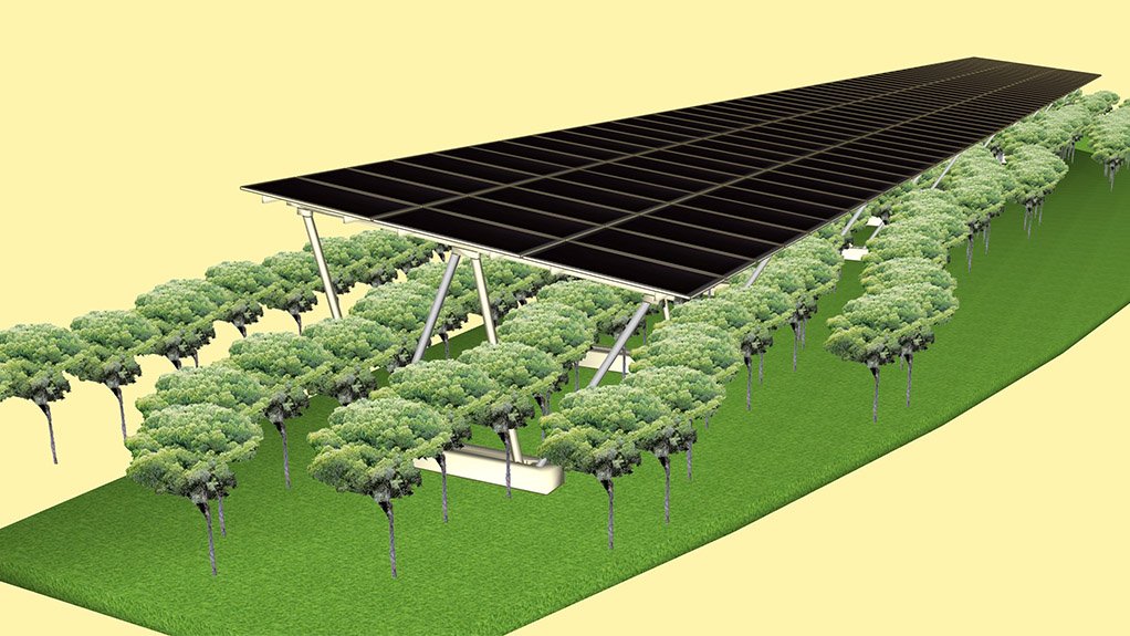 Image of agri-PV facility