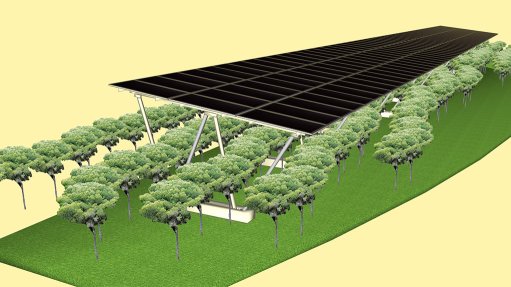 Image of agri-PV facility