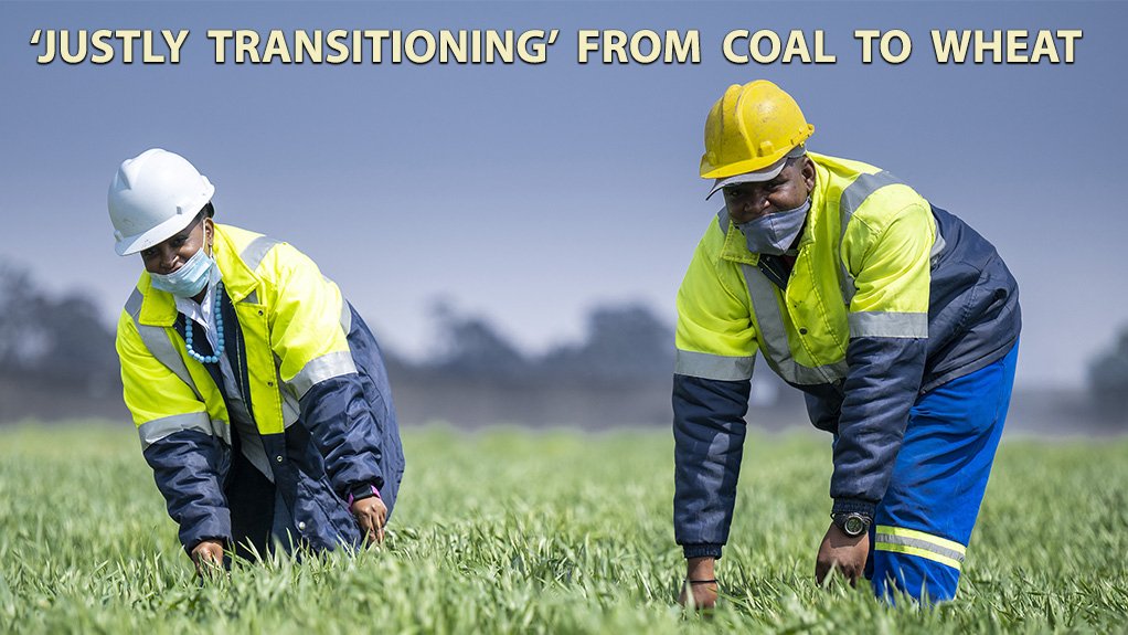 Flashback to Glencore's winter wheat pilot project in Mpumalanga.