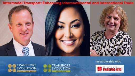 Panelists in this webinar on intermodal transport in Africa highlight the impact of global trade instability on African trade, emphasising the need for infrastructure investment and intermodal transport systems.