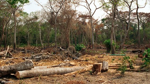 An image of deforestation in Venezuela 