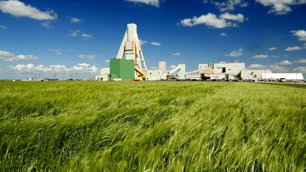 Top potash producer Nutrien misses first-quarter profit estimates on lower prices