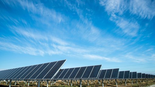 Virginia Solar Park, South Africa