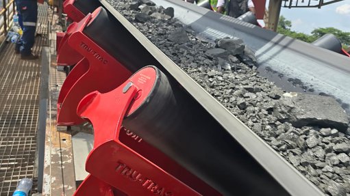 Image of a Tru-Trac belt scale