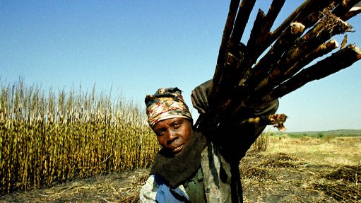 black sugar cane farmer woman
