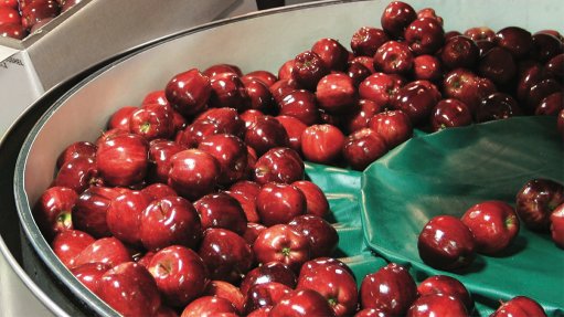 Apple processing line