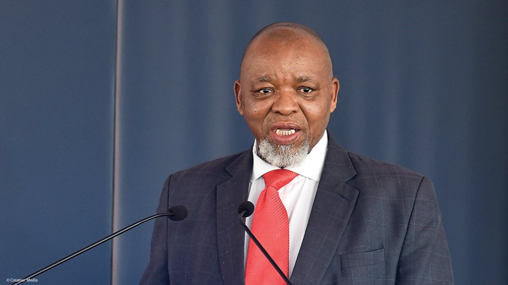 An image of Mineral and Petroleum Resources Minister Gwede Mantashe 