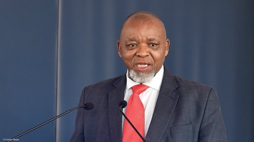 An image of Mineral and Petroleum Resources Minister Gwede Mantashe 
