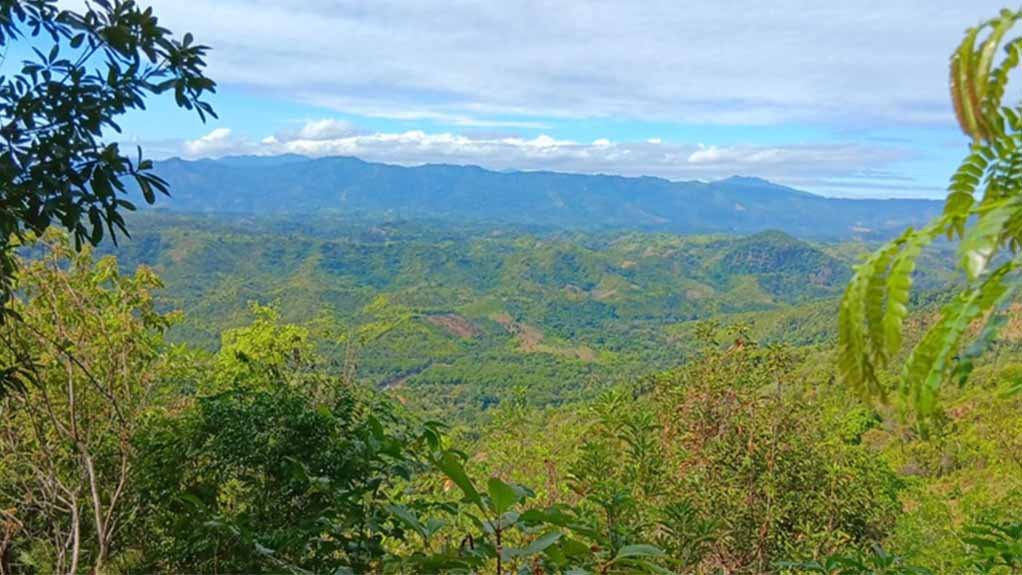 An image showing the area Ampasindava rare earth project 