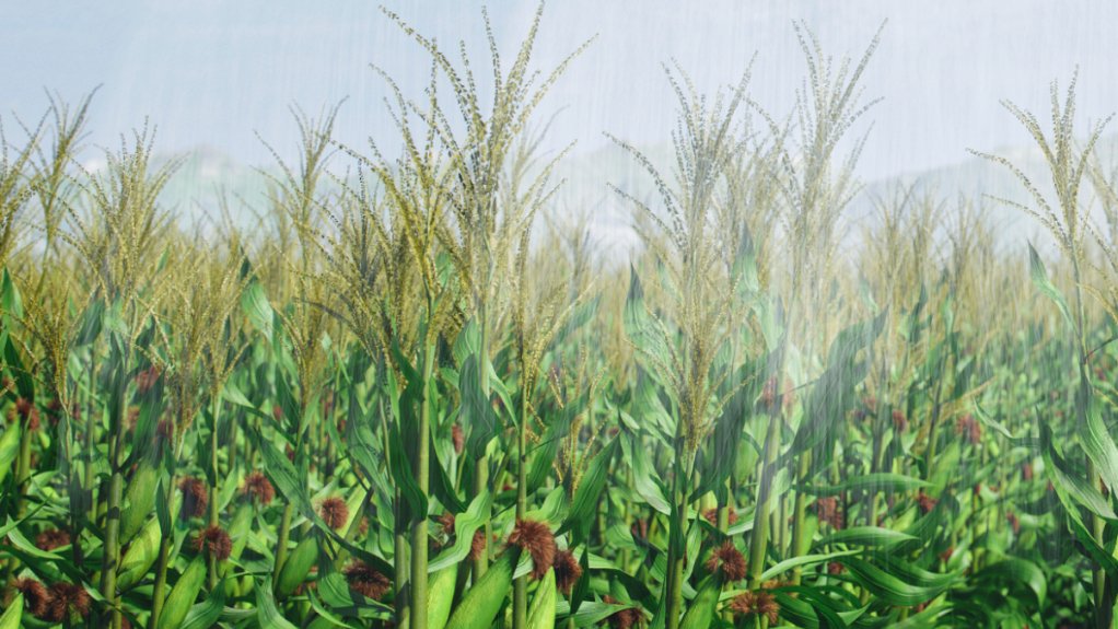 Harnessing Digital Technologies for Smarter Water Management in Agriculture 
