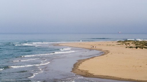 A beach in Port Elizabeth