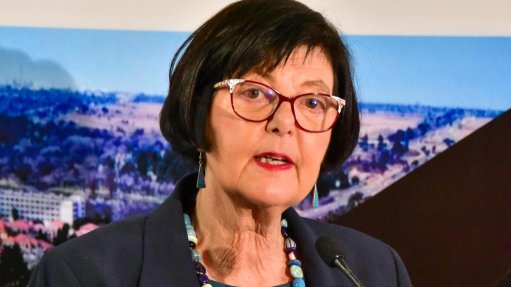 Transport Minister Barbara Creecy 