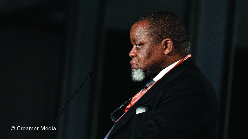 Mineral and Petroleum Resources Minister Gwede Mantashe